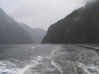 Albums/20060200-New Zealand 2006/20060211-Milford Sound/36